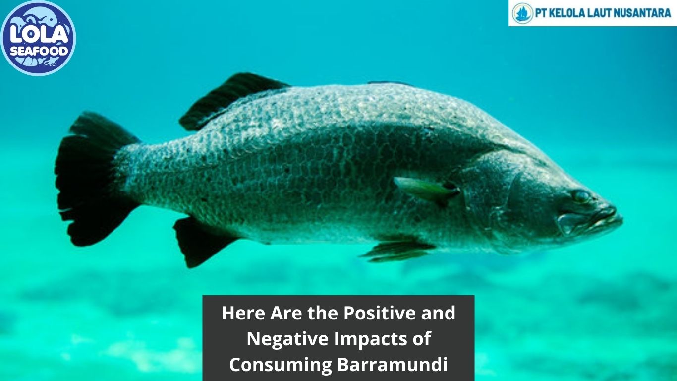 Here Are the Positive and Negative Impacts of Consuming Barramundi